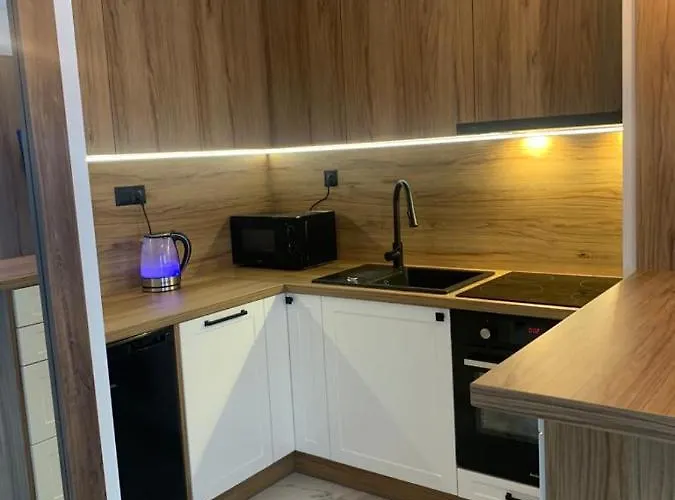 Lägenhet Fordon Przy Onkologii